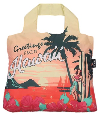Ekotaška ENVIROSAX Hawaii Travel Bag 8